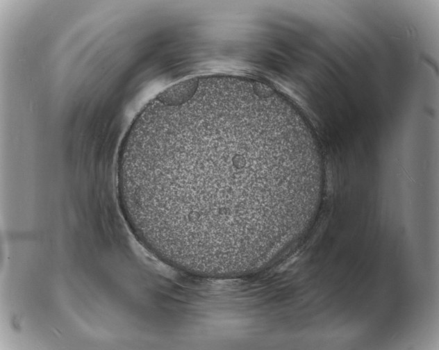 X0000102231471200808221257