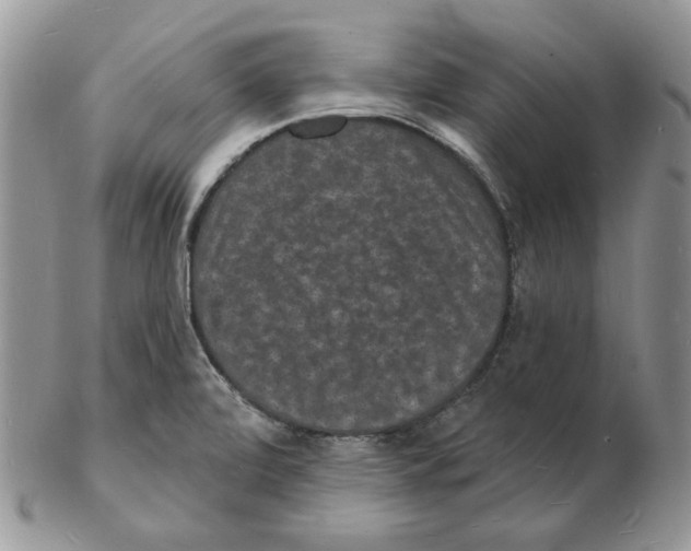 X0000102231472200808221257