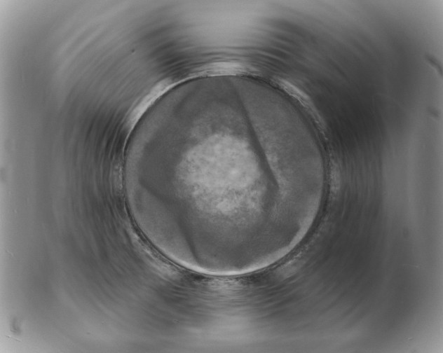 X0000102231473200808221257
