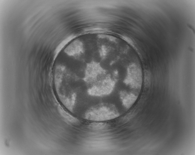 X0000102231474200808221257