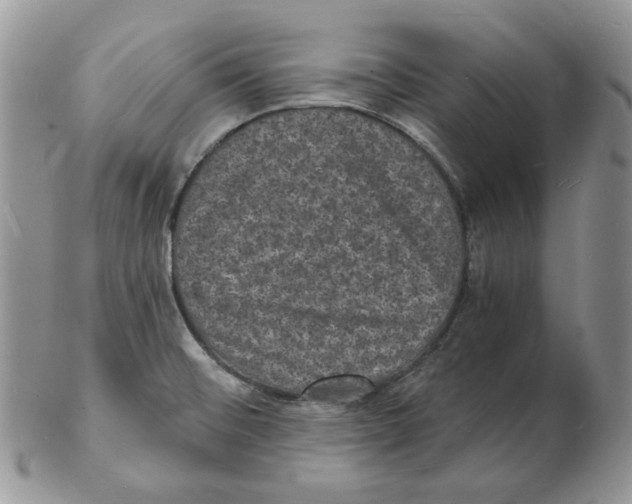 X0000102231476200808221257