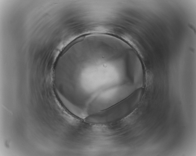 X0000102231477200808221257