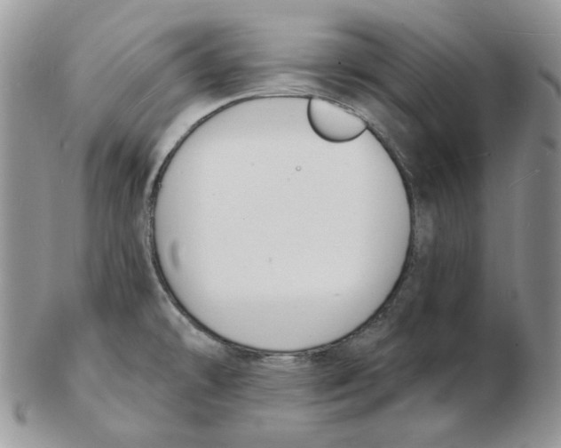 X0000102231478200808221257