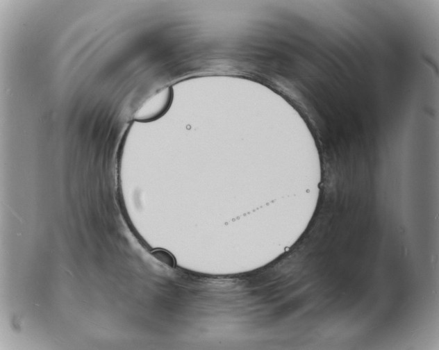 X0000102231479200808221257