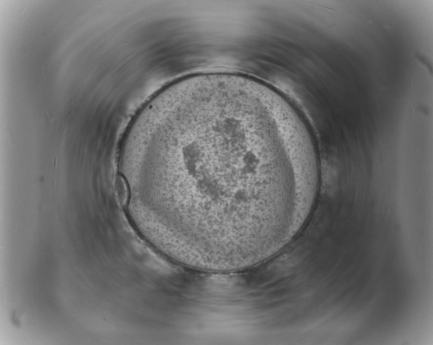 X0000102231480200808221257
