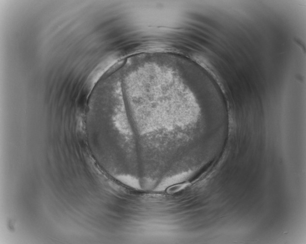 X0000102231481200808221257