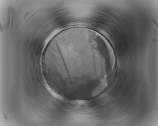 X0000102231482200808221257
