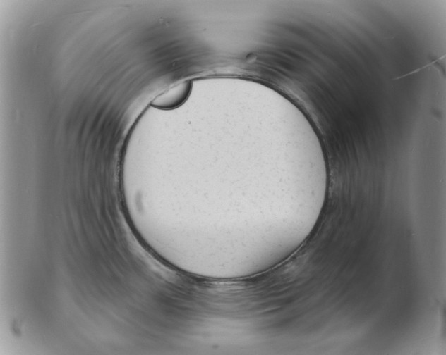 X0000102231483200808221257
