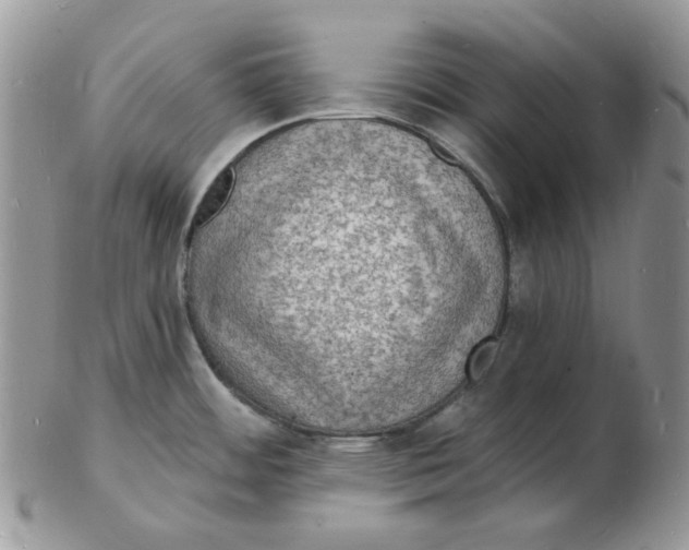 X0000102231484200808221257