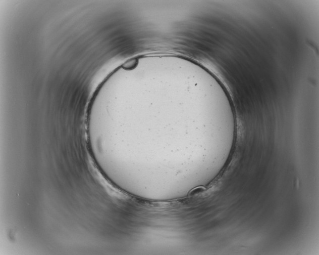 X0000102231485200808221257