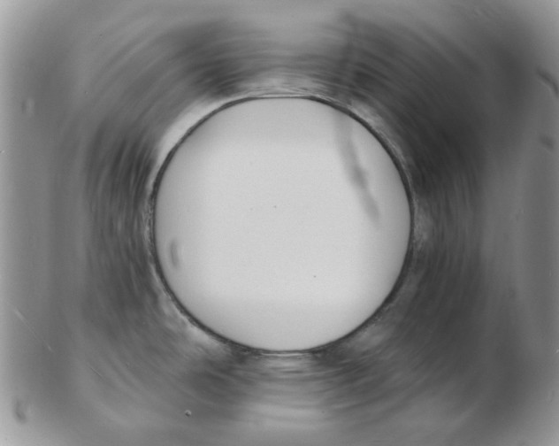 X0000102231486200808221257