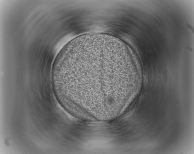 X0000102231487200808221257
