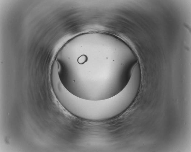 X0000102231488200808221257