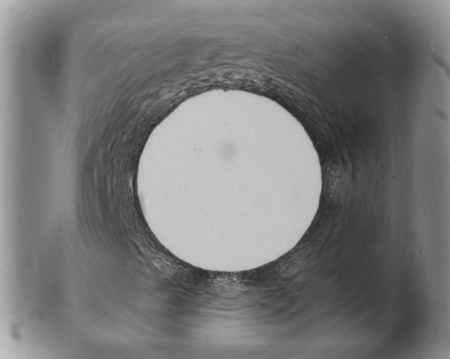X0000102231489200808221256