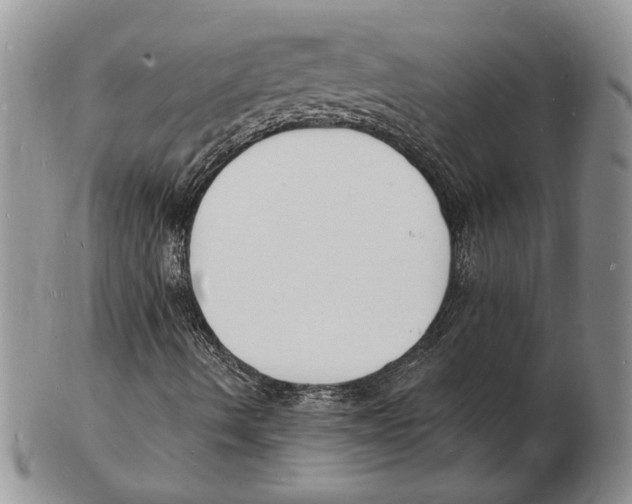 X0000102231490200808221256