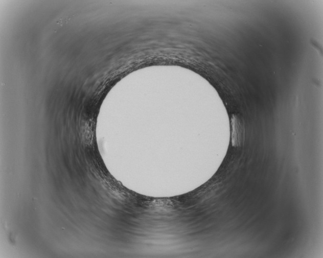 X0000102231491200808221256