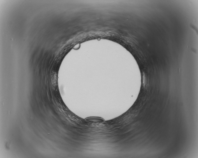 X0000102231492200808221256