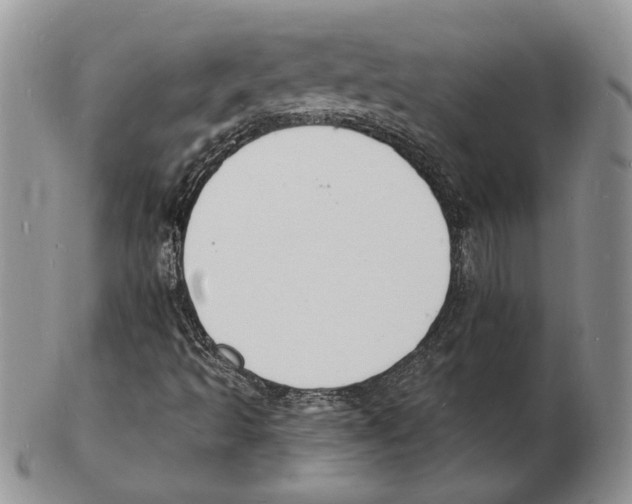 X0000102231493200808221256