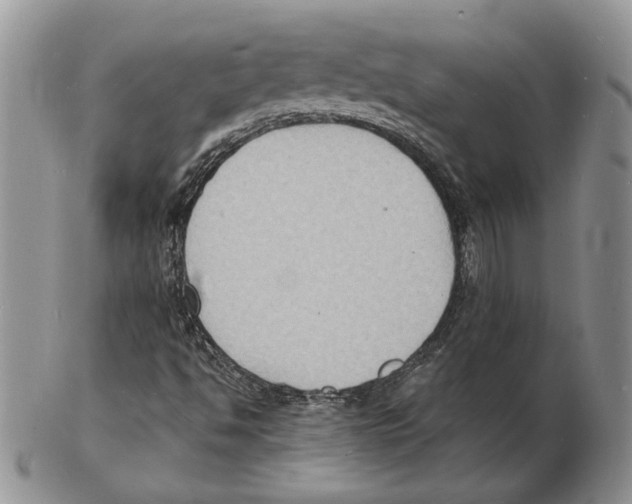 X0000102231494200808221256
