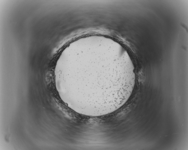 X0000102231496200808221256