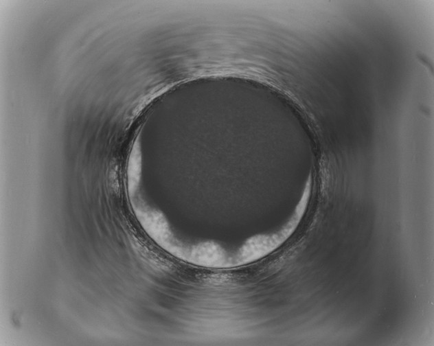 X0000102231497200808221256