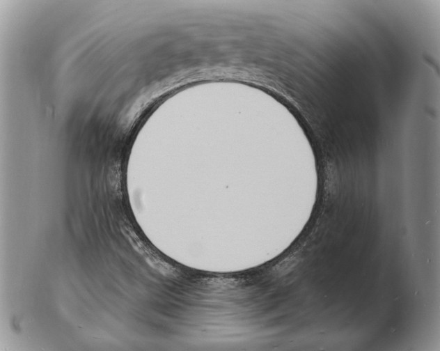 X0000102231499200808221256