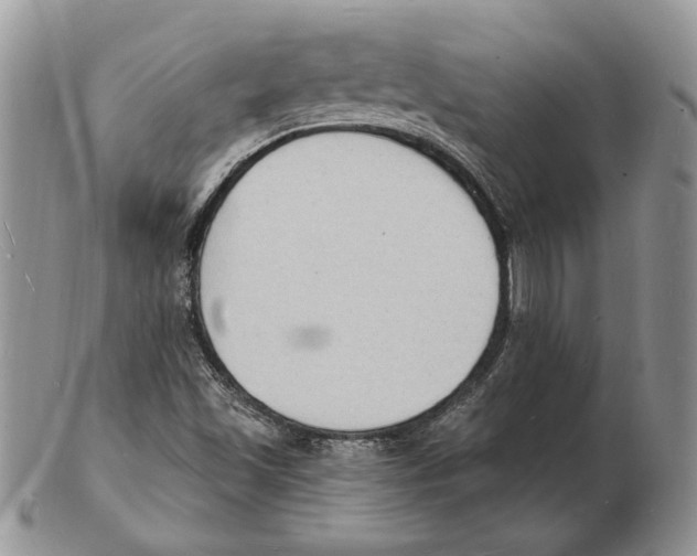 X0000102231501200808221256