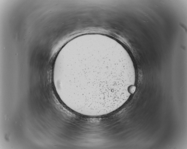 X0000102231504200808221256