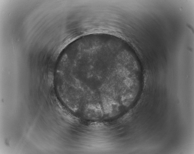X0000102231505200808221256