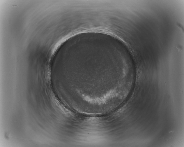 X0000102231506200808221256