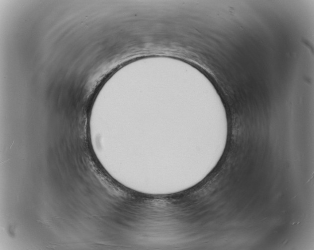 X0000102231507200808221256