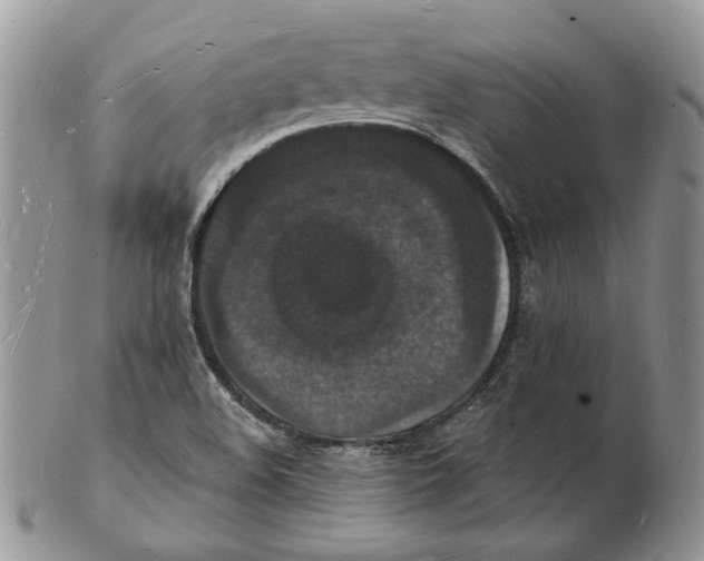 X0000102231508200808221256