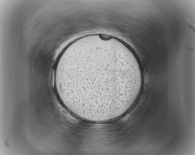 X0000102231510200808221256