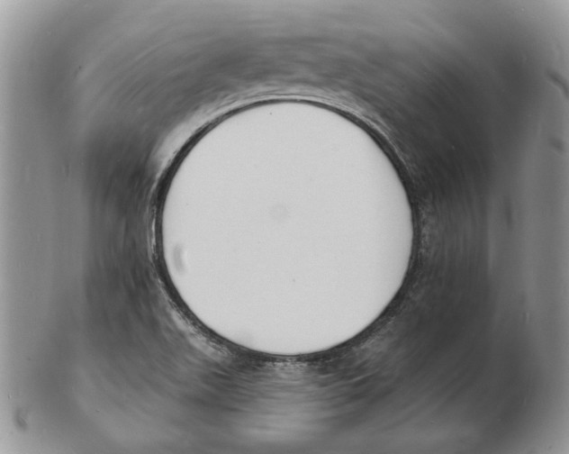 X0000102231511200808221256