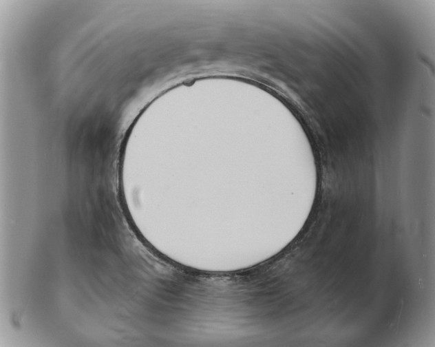 X0000102231512200808221256