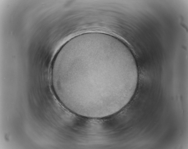 X0000102231514200808221256