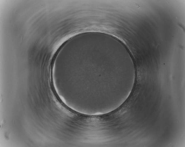 X0000102231515200808221256