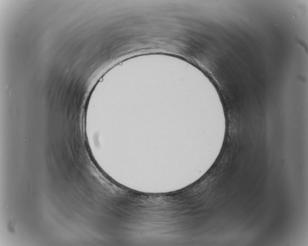 X0000102231516200808221256