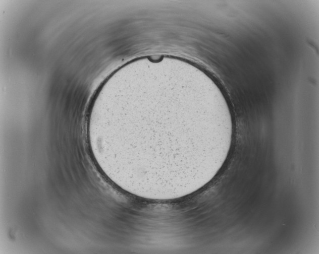 X0000102231517200808221256