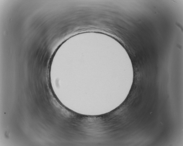 X0000102231518200808221256