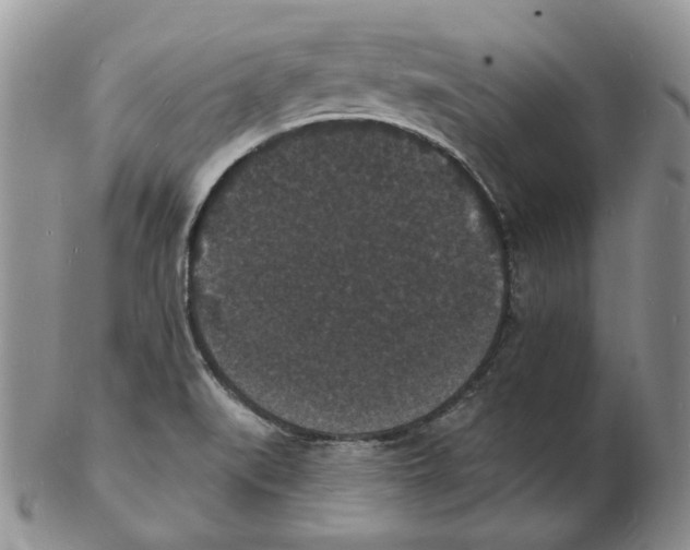X0000102231519200808221256
