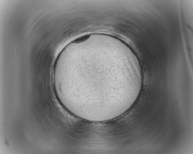 X0000102231520200808221256
