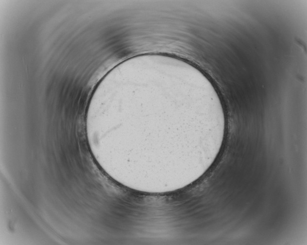 X0000102231521200808221256
