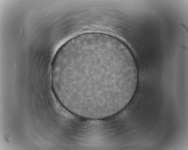 X0000102231522200808221256