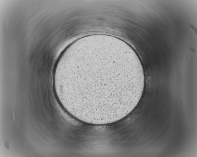 X0000102231523200808221256