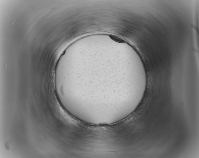 X0000102231524200808221256