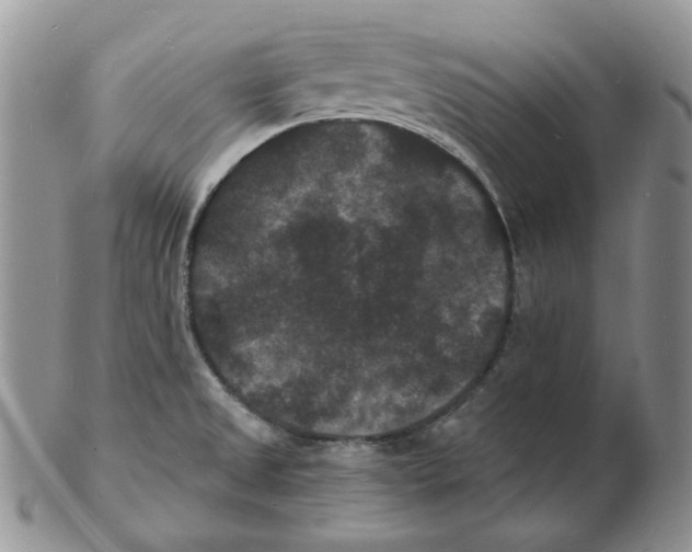 X0000102231525200808221256