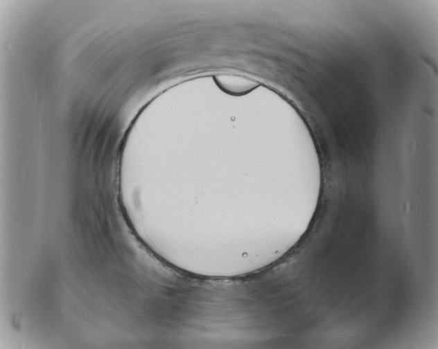 X0000102231526200808221256