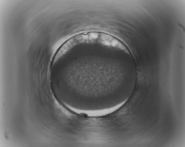 X0000102231527200808221256