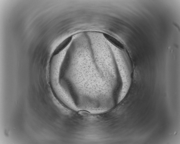 X0000102231528200808221256
